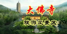 轮着操骚逼视频中国浙江-新昌大佛寺旅游风景区